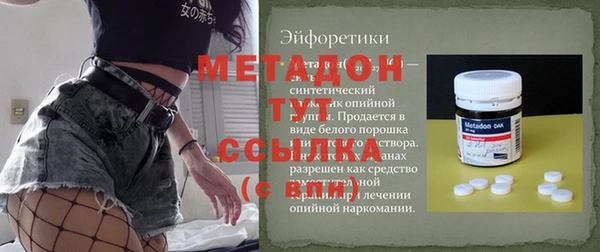 прущие грибы Арсеньев