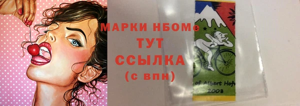 прущие грибы Арсеньев
