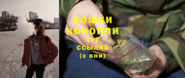 прущие грибы Армянск