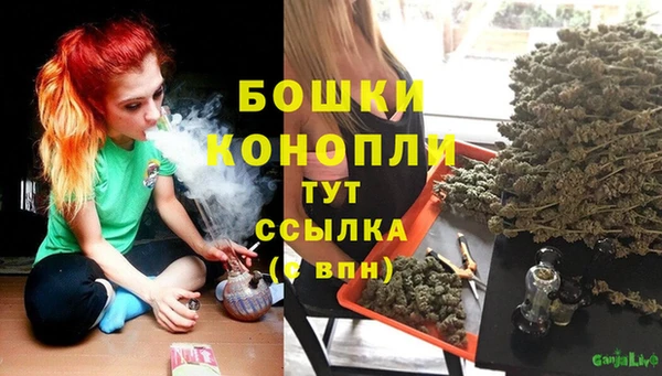 прущие грибы Арсеньев