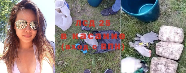 прущие грибы Арсеньев
