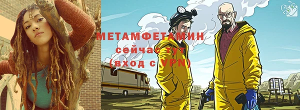 прущие грибы Армянск